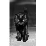 Приметы магия Приметы магия