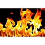 Знаки Зодиака стихии Огня Знаки Зодиака стихии Огня